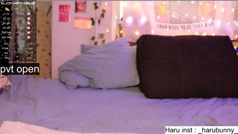 harubunny  06-03-2023